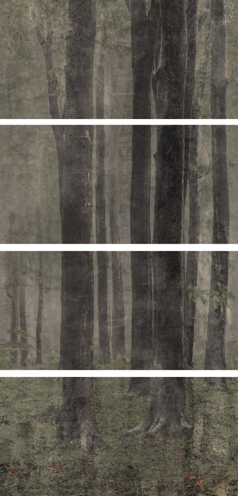 Купить Wide&Style Woods CP4 120x240 