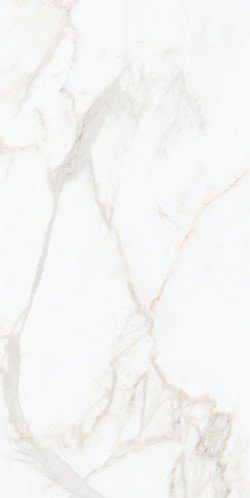 Купить Nocturne White Gold FLPR 60х120 