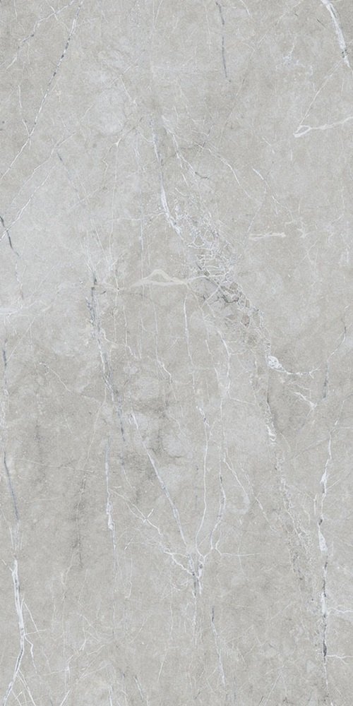Купить Flais Ash Ford Grey Glossy 60x120 