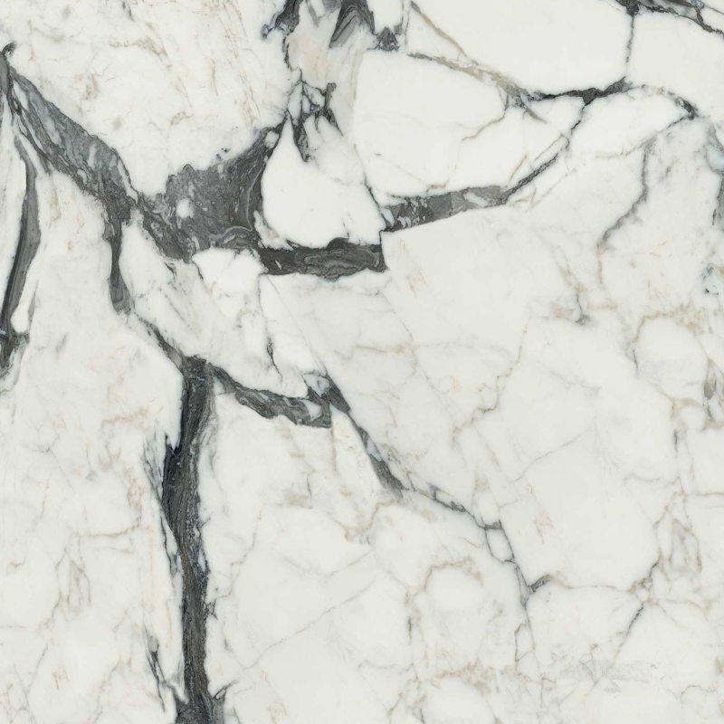 Купить Calacatta Altissimo Blanc Glossy  80х80 