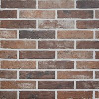 Купить RHS Old Red Brick 6х25 