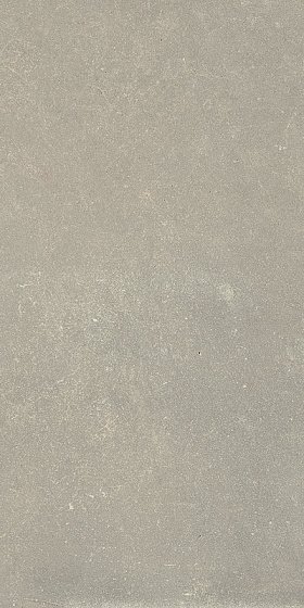 Купить Rex Espirit De Rex Neutral Gris 6mm 120x240 
