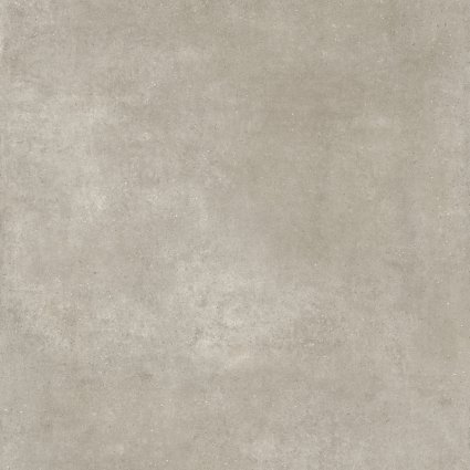 Купить Argenta Gravel Pav Earth RC 60x60 