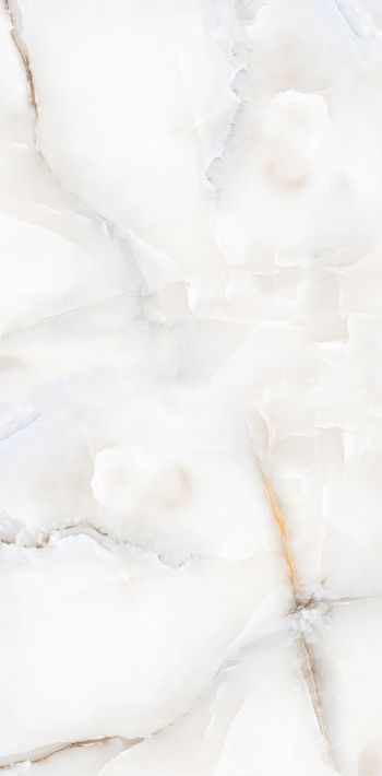 Купить NT Ceramic Onyx Majestic NTT99503P 60x120 