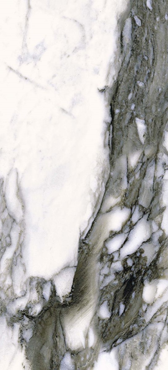 Купить Roberto Cavalli The Wild Spirit Marble Effect-Calacatta Renoir LX RT 78,7x178,7 