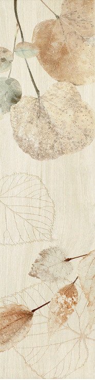 Купить Del Conca Fi Foreste D'italia Foliage Bianco 20х80 
