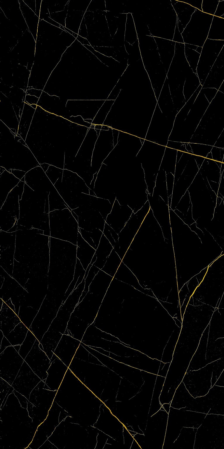Купить Eurotile 905 Golden Black 80х160 