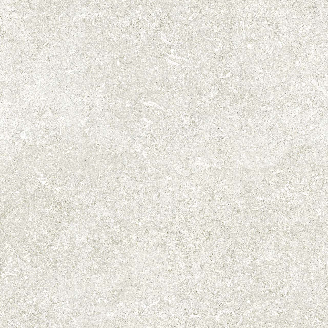 Купить Fap Nord Artic Matt 60X60 