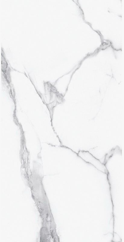Купить Cerdomus Extremewhite Statuario Bianco Rett Lev. 60х120 
