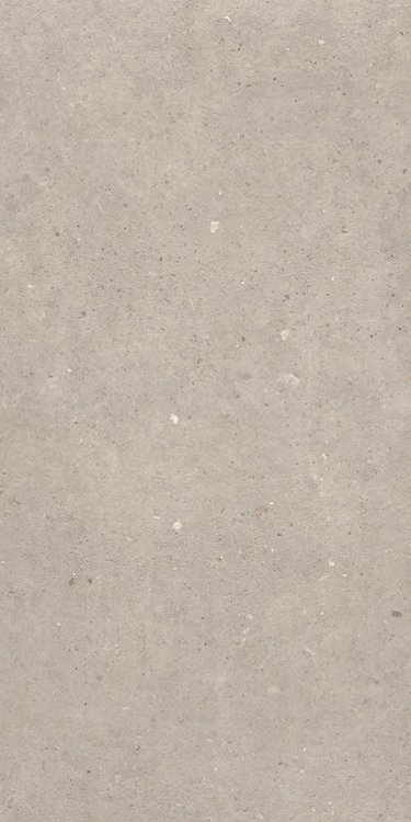 Купить Sanchis Cement Stone Greige Lapp  60×120 