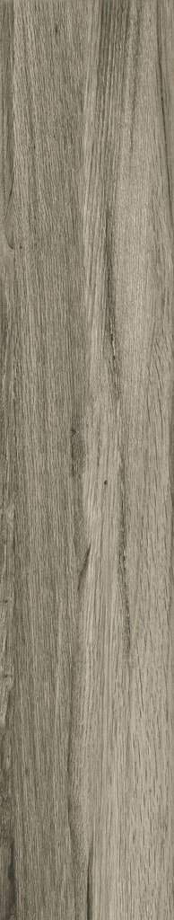 Купить Fanal Ceylan Gris Pulido 22x118 (Rect) 