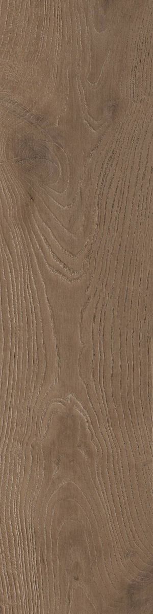 Купить Cifre Ceramica Rovere Nuez 22,5x90 