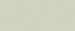 Купить Emil Ceramica Madagascar Incanto Green Rett. 25х60 