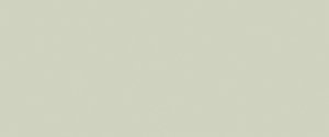 Купить Emil Ceramica Madagascar Incanto Green Rett. 25х60 