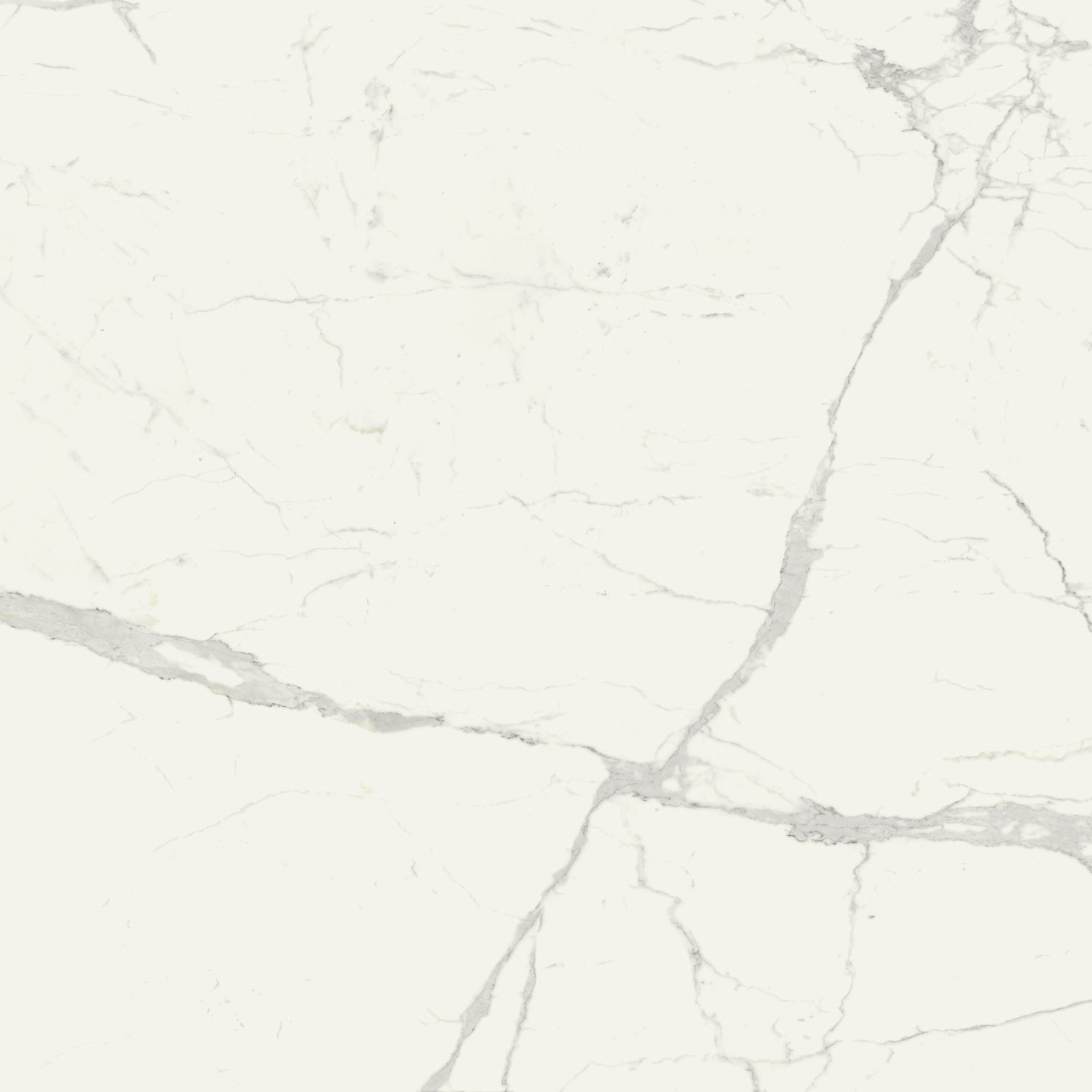 Купить Marazzi Grande Marble Look Statuario M0FN 120х120 
