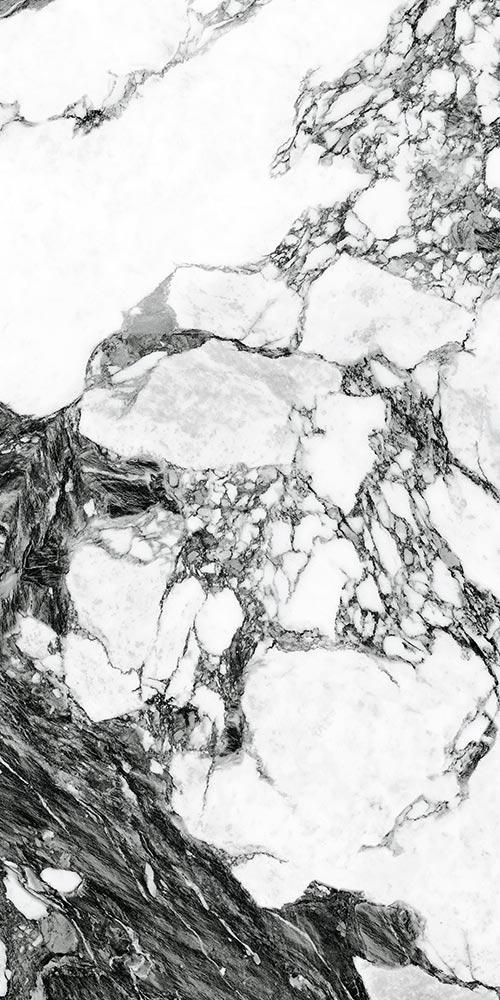 Купить Vives Marblelous Arue-R Pulido 59,3x119,3 