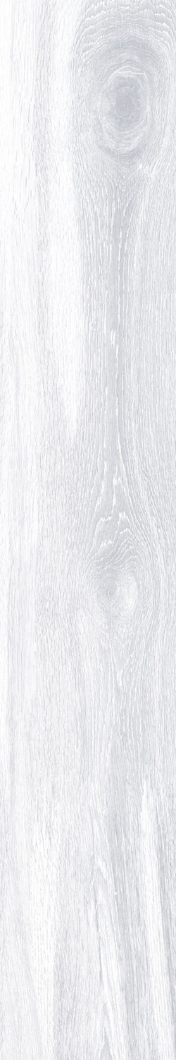 Купить Keraben Naturwood Ice 120x20 