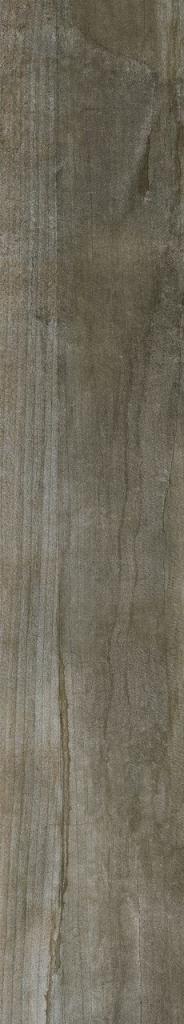 Купить Absolut Keramikas Woods Barbados O 20x114 