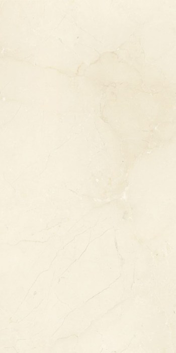 Купить Grespania Coverlam Supreme Natural 5,6 mm 50x100 