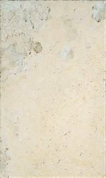 Купить Edimax Instone Bone 30x45,3 Nat. 