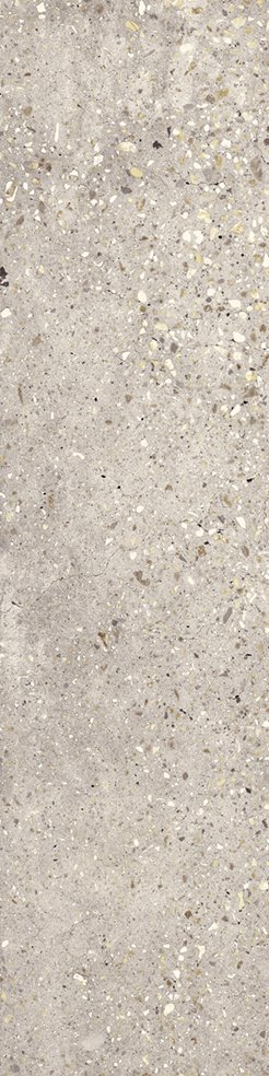 Купить Apavisa Wind Ivory Natural 24,75x99,55 
