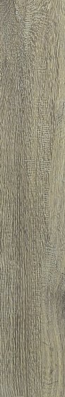 Купить Rex Planches de Rex Miel 20х120 