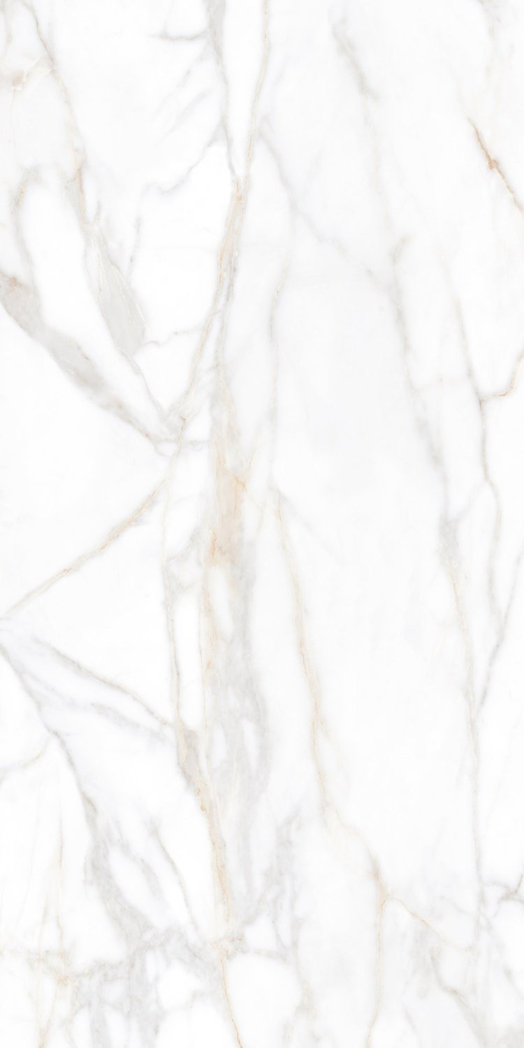 Купить Ametis Supreme SM02 Gold Полир.  60×120 