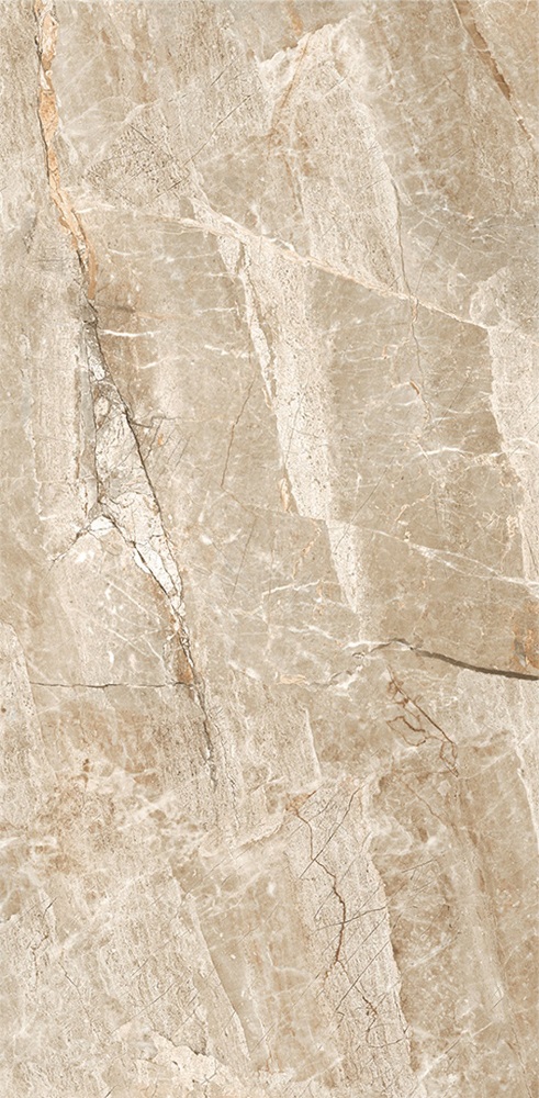 Купить Leopard Stone Age Glossy 60x120 