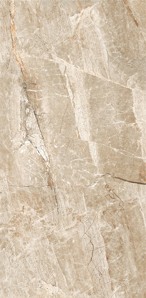 Купить Leopard Stone Age Glossy 60x120 