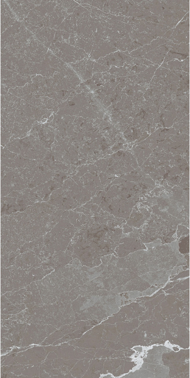 Купить Monocibec Arcadia Techo Grigio Levigato Rettificato 60x120 