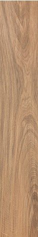 Купить Atlas Concorde Etic Rovere 15х90 