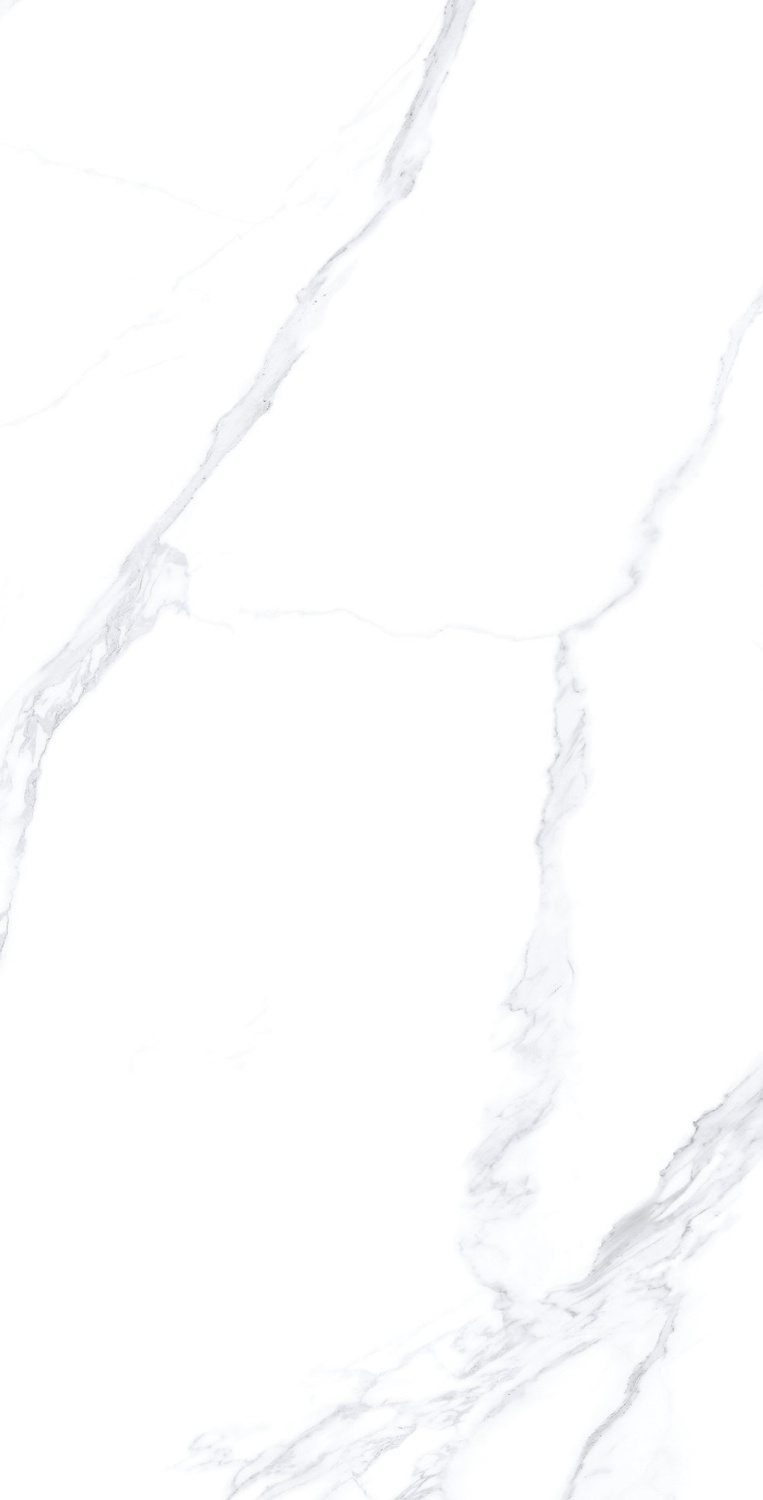 Купить Museum Calacatta Extra White Nt R 100x180 