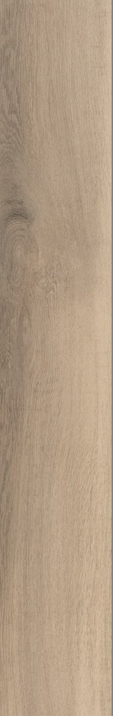Купить La Fenice Hollywood Almond Rett 20х120 