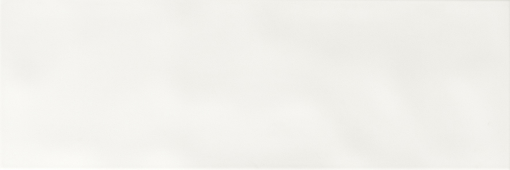 Купить Pamesa Whites Rev. Coton Blanco 25х75 