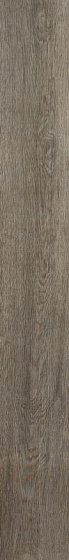 Купить Atlas Concorde Arbor Grey Ret 18,5х150 