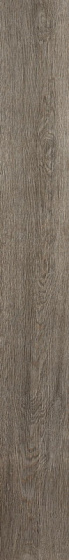 Купить Atlas Concorde Arbor Grey Ret 18,5х150 