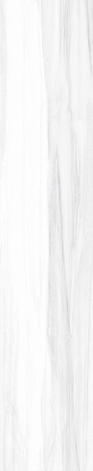 Купить Halcon Hensa Blanco Brillo Rect 22,5х119,5 