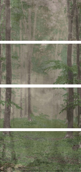 Купить Wide&Style Woods B CP4 120x240 