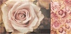 Купить Mainzu Arkadia Decor Flower 20х10 