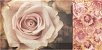 Купить Mainzu Arkadia Decor Flower 20х10 