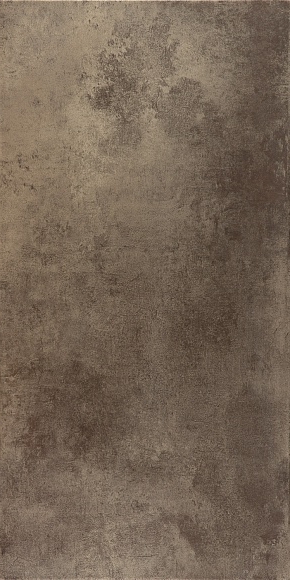 Купить Evolution Titanio 49,1х98,2 Rect. 