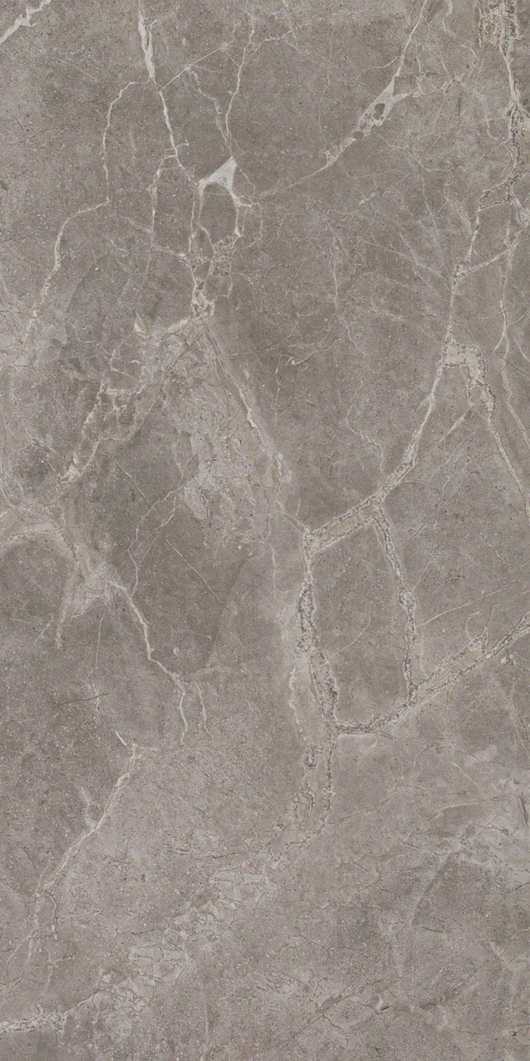 Купить Atlas Concorde Marvel Pro Grey Fleury Lappato 60x120 