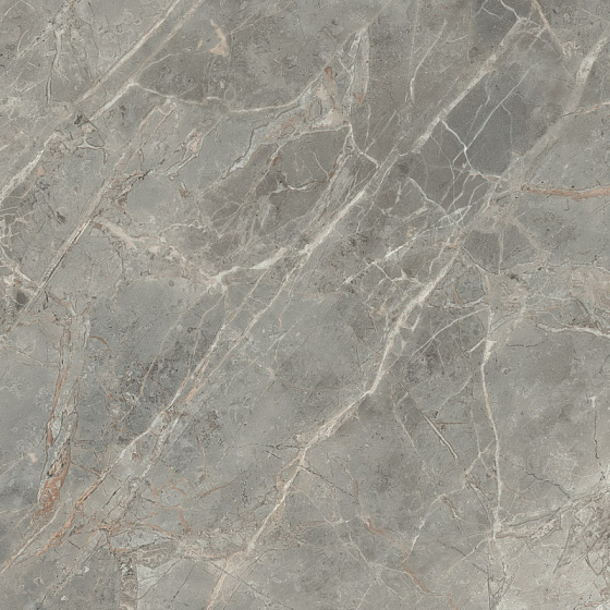Купить Rex Etoile De Rex Gris Matt 80х80 