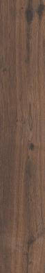 Купить Vitra Aspenwood Вишня R10A Рект 20х120 