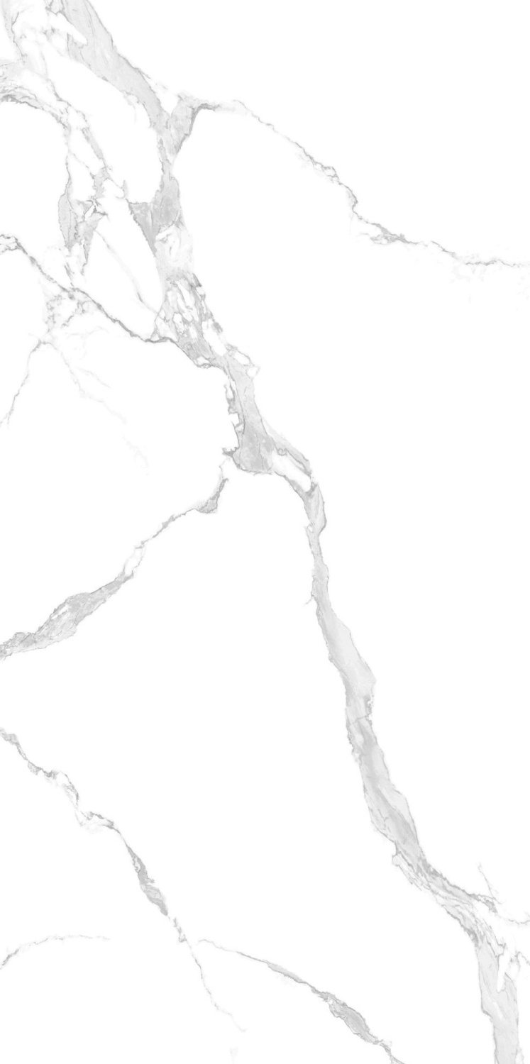 Купить NT Ceramic Atlas Wide Bianco Carrara  120×240 