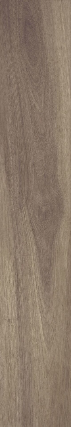 Купить Versace/Gardenia Just color Brown 120x20 