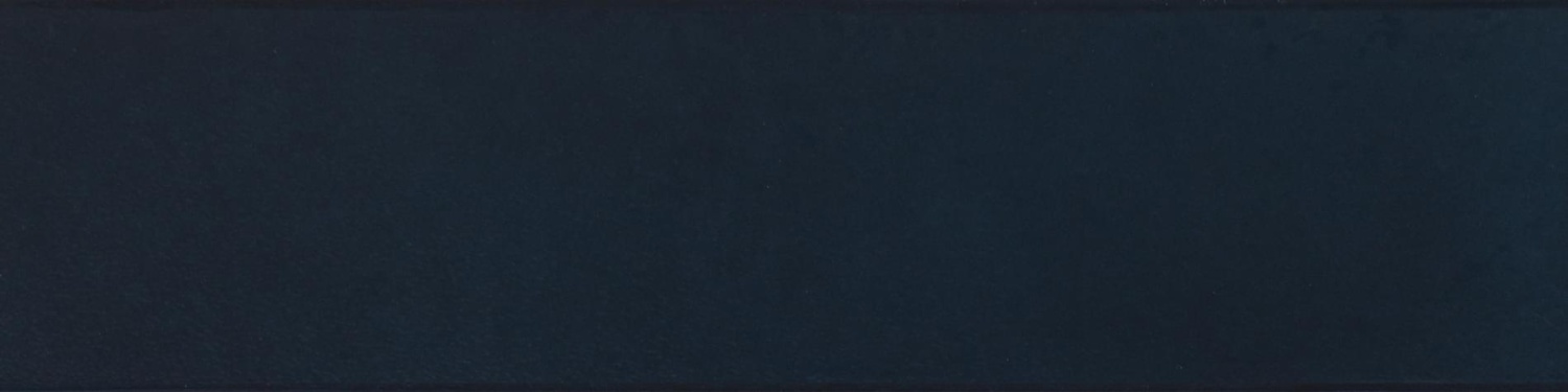 Купить Imola Aroma Blu 6x24 