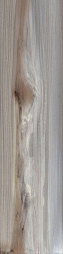 Купить Apavisa 4ever Echo Ash Natural 25x100 