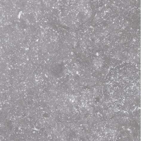 Купить Equipe Coralstone Grey 20х20 