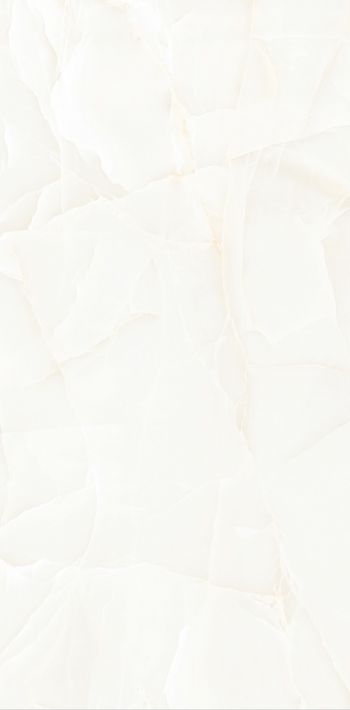 Купить NT Ceramic Onyx Predo NTT99504P 60x120 